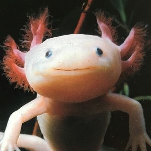 Meet your Posher, Zuzanna